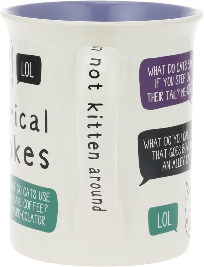 Enesco Our Name is Mud Pets Hiss-Terical Cat Jokes Coffee Mug, 16 Ounce, Multicolor