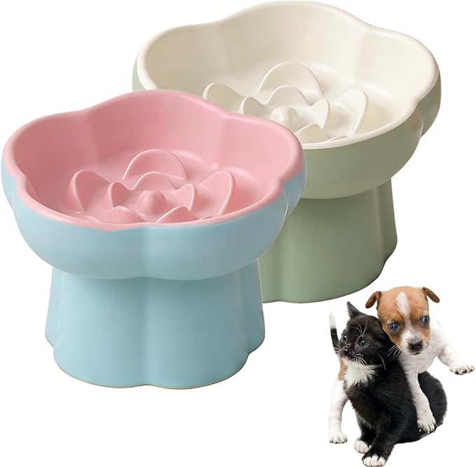 Ceramic Elevated Slow Feeder Cat Bowl,Anti Vomit Design for Whisker Fatigue Relief,Elevated Slow Feeder Bowls for Indoor Cats&Small Breeds,Perfect for Wet Food&Small Dogs (2, Green & Blue)