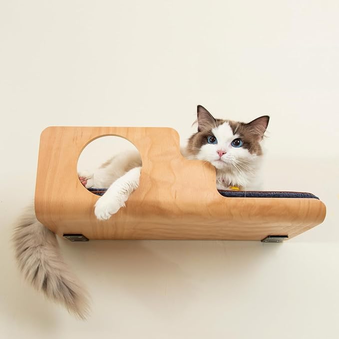 LIORCE Cat Wall Shelves, Creative Design Cat Shelf with Peephole, 19 x 10 inch Cats Wall Furniture with Comfortable Pad, Cats Perch for Sleeping, Playing, and Scratching.