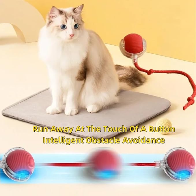Interactive Rolling Dog Ball - 2025 New Self-Moving Cat Toy, 360 Smart Automatic Electric Toy for Dogs/Cats (Green)