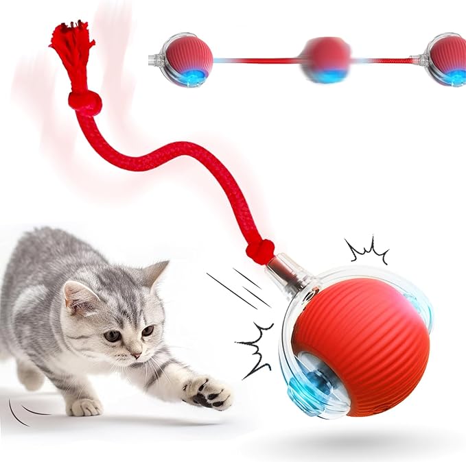 Interactive Cat Toys Ball for Indoor Cats, Interactive Rolling Dog Ball Cat Toy Automatic Cat Toy Self Moving Dog Toys, 360° Rolling Toy Electric Balls for Dog/Cat (Red)