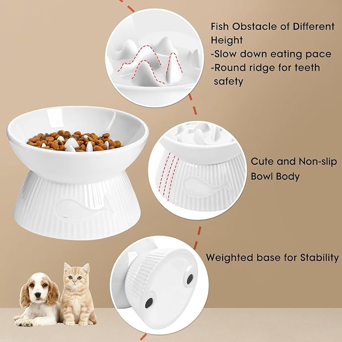 Raised Cat Slow Feeder, Ceramic Slow Feeder Cat Bowl, Upgraded Ridges to Prevent Vomiting and Indigestion, No Spill High Edge for Dry/Wet Food, Heavy and Stable, Easy to Clean Pet Bowls