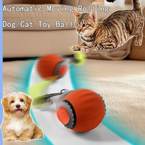 2 Pack Automatic Moving Dog Toy Ball,Smart Interactive Cat Toy Ball with Tail&Interactive Sensor,(2Packs Orange)