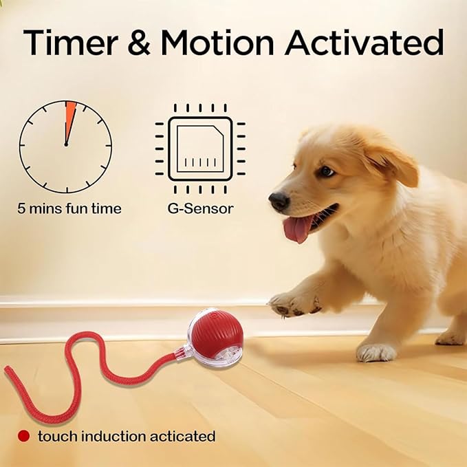 AICase Cat Toys for Indoor Cats,Interactive Automatic with Cord Imitation Mouse, Indoor Smart Rolling Interactive Balls