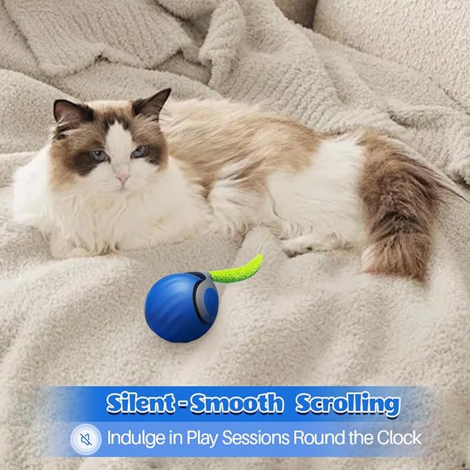Speedy Cat Toy,Smart Self Rolling Interactive Toy Balls Automatic Moving,Chase Toys for Bored Indoor Kitten/Adult Cats, Rechargable(Blue)