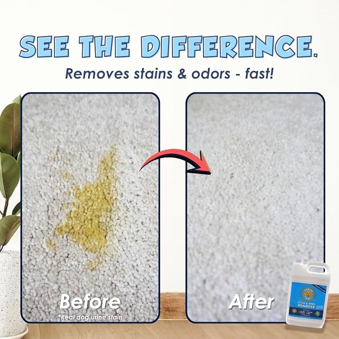 Pet Stain Odor Remover Professional Strength Powerful Eliminator for Tough Dog Cat Pet Urine Pee Poop Feces Vomit Slobber Drool Blood Wine Coffee Home Kennel Car RV Office (1 Gallon)