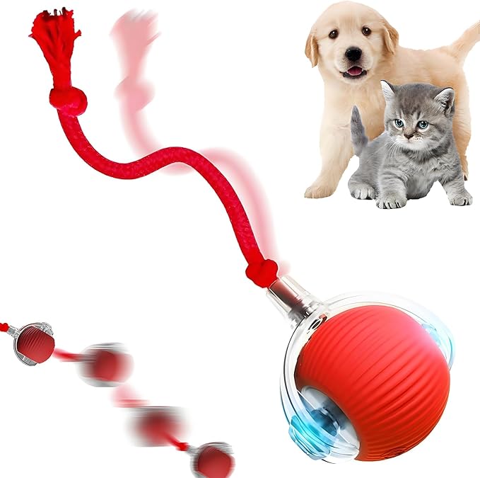Interactive Cat Toys for Indoor Cats, Smart Automatic Cat Ball Toy for Bored Indoor Adult Cats, Rechargeable Cat Toys Interactive with Motion Sensor (Red)