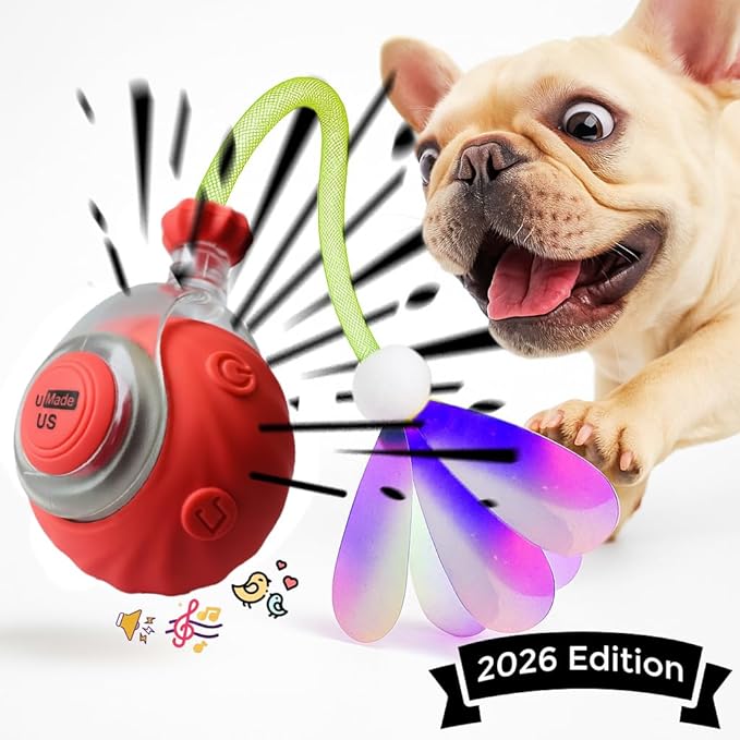 Interactive Cat Ball Toy with Tail for Indoor Cats Kittens – 2026 - Automatic Smart Rolling Motion Pet Exercise for Small Dogs | Rechargeable Motion-Activated, USB Charging Self-Play (RED)