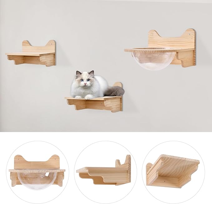 Space Capsule Style Transparent Cover Cat Bed, Wall Mounted Cats Shelf House,Perch Seat For Sleeping,Thai Rubber Wood For Living Room Pet Room,Load Of 17.6 Lbs. (Space Capsule+ 2 Jumping Platforms)