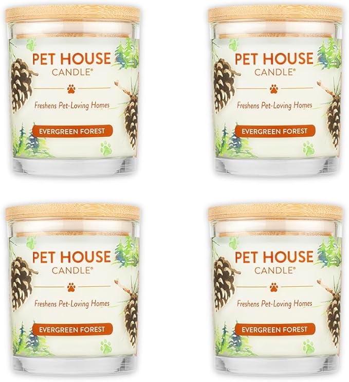 One Fur All Pet House Soy Candles, Clean Burning, Plant-Based Scented Candles for Pet Odor, Evergreen Forest, 4 Pack