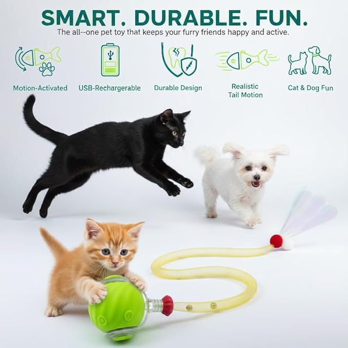 Cat Toys for Indoor Cats – Automatic Kitten Interactive Toy with Speedy Ball Tail as Pet Mental Stimulation - Kittens Small Dogs and Bored Adult Dog Balls to Keep Them Busy 2026 (Green Ball)