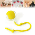 Interactive Rolling Cat Ball, 2025 Smart Automatic Cat Dog Toys, Automatic Cat Toys, Self Moving Cat Toys, Interactive Cat Toy Ball for Bored Small Dogs, Cats (Yellow)