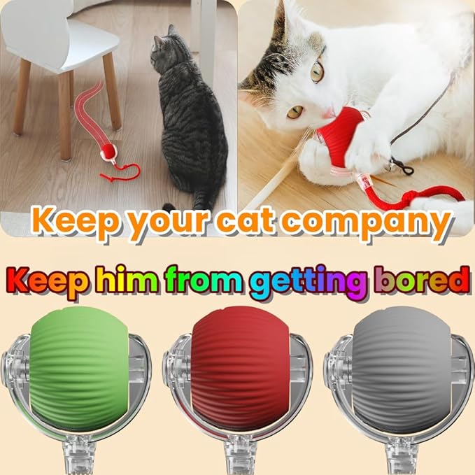 Interactive Rolling Cat Ball, Interactive Cat Toys Balls, Cat Toys for Bored Indoor Cats (Red)