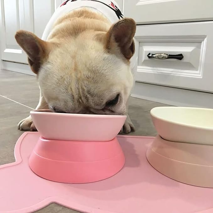 French Bulldog Food Bowl- Slanted Tilted Pug Food Water Bowl,Cat Bowl- Feeder for Frenchie/Shih Tzu/Flat Faced Small Dogs/Puppies/Cats (Pink, 4 Cup)