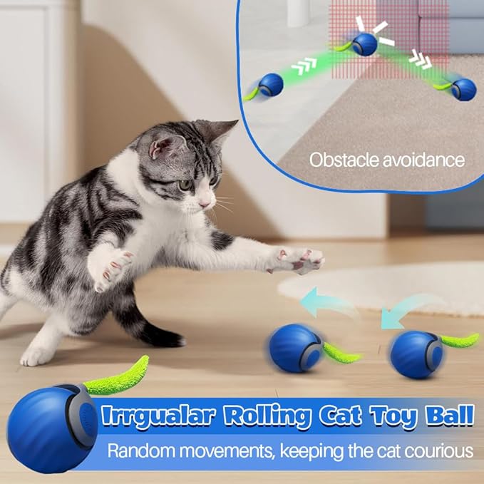 Speedy Cat Toy,Smart Self Rolling Interactive Toy Balls Automatic Moving,Chase Toys for Bored Indoor Kitten/Adult Cats, Rechargable(Blue)