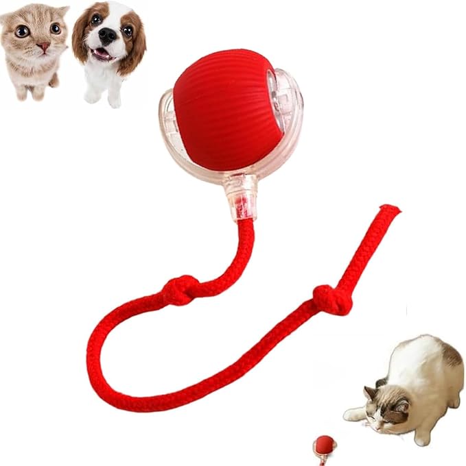 Smart Motion Pet Ball, Interactive Cat Toy for Indoor Cats, Automatic Moving, Two Speed