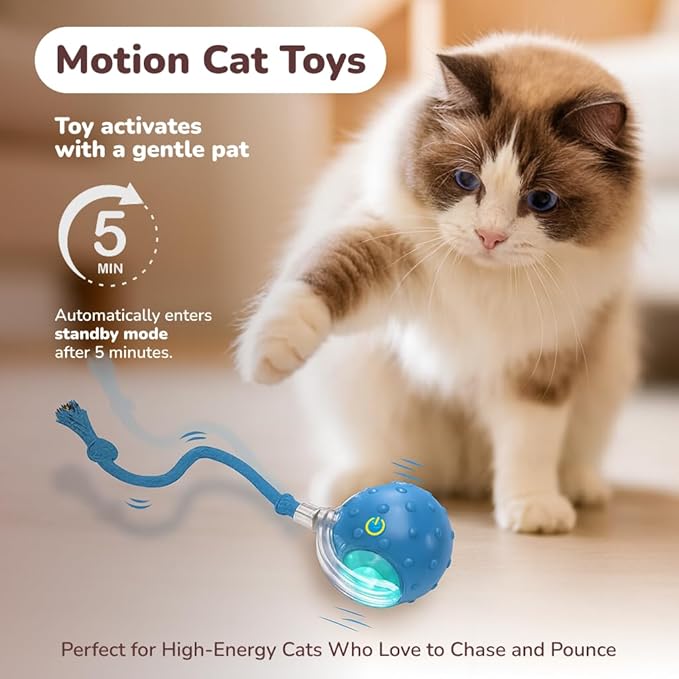 Interactive Cat Toy Ball for Indoor Cats – Fast Rolling on Carpet, Motion Activated with Chirping Sounds, Smart Play Toy (Blue)