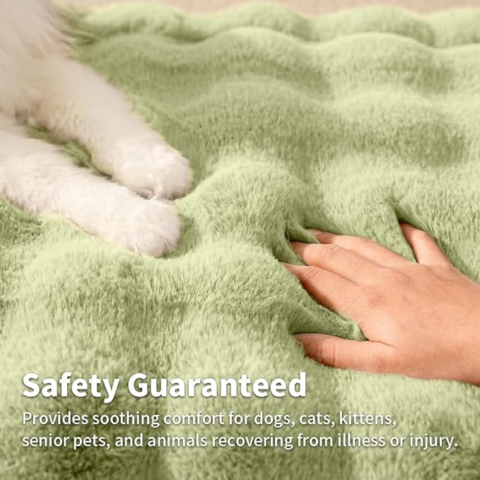 SOMAHE Self-Warming Cat Blanket for Indoor Cats & Small Dogs, Dual-Side Sherpa Plush Throw, Anti-Static Shared Couch Mat for Crate & Travel, Machine Washable No Shrink, 28x22 Inch Green