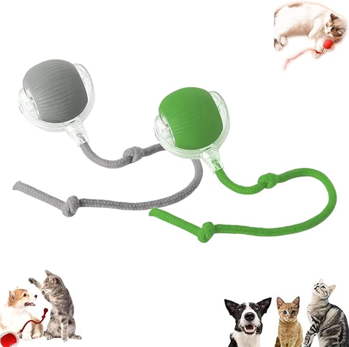 Vocal Dog Ball, Smart Motion Pet Ball, Interactive Cat Toys for Indoor Cats, Automatic Dog Toys, Rolling Balls Dog Toy, 360 Smart Automatic Electric DogBall Toy for Dogs and Cats