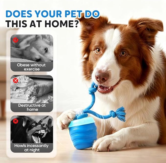 Interactive Dog Toys, New Motion Activated Cat Balls with 360° Smart Automatic Rolling Moving, Fun Boredom Relief for Cats and Dogs Indoor Play (Blue)