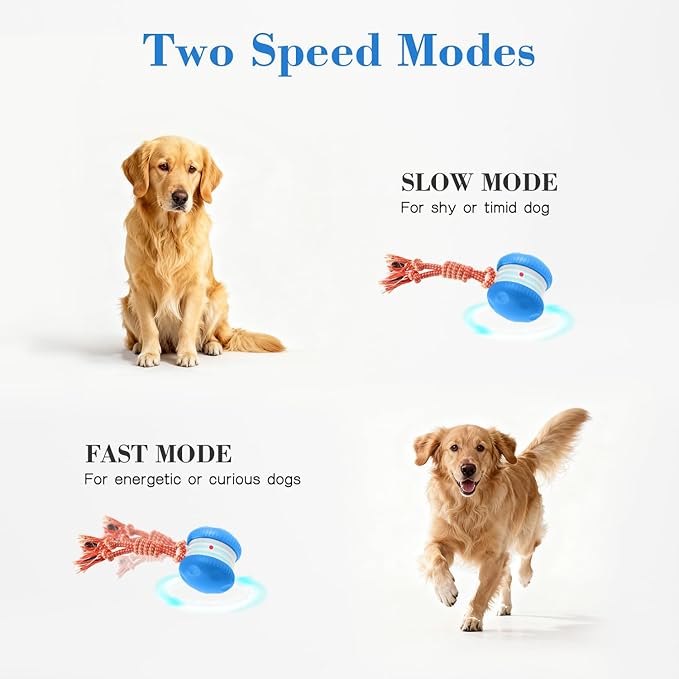 PJC Interactive Dog Toy – Automatic Electric Rolling Ball with Rope, Motion-Activated Play, Random Movement, Rechargeable, Ideal for Boredom Relief for All Dog Sizes