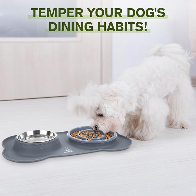 Pecute Slow Feeder Dog Bowls to Slow Down Eating, Dog Bowl Slow Feeder with No-Spill Non-Skid Silicone Mat, Food-Grade Safe Dog Food Bowls Slow Feeder, Stainless Steel Dog Water Bowl for Dogs Cats