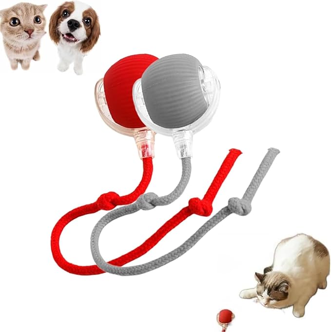Smart Motion Pet Ball, Interactive Cat Toy for Indoor Cats, Automatic Moving, Two Speed