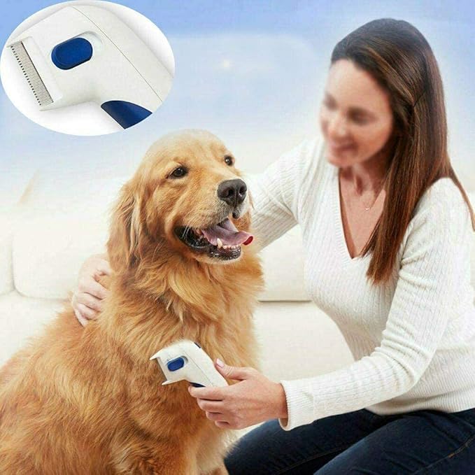 Electric Pet Comb Stainless Steel Heads Effectively Removes Floating Hair for Long & Short-haired Pets like Cats/Dogs/Rabbits/Totoro