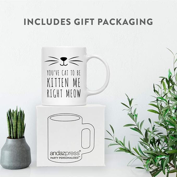 Andaz Press Funny Cat Lover 11oz. Ceramic Coffee Tea Mug, You've Cat To Be Kitten Me Right Meow, 1-Pack, for Cat Mom, Birthday Christmas Ideas, Includes Box