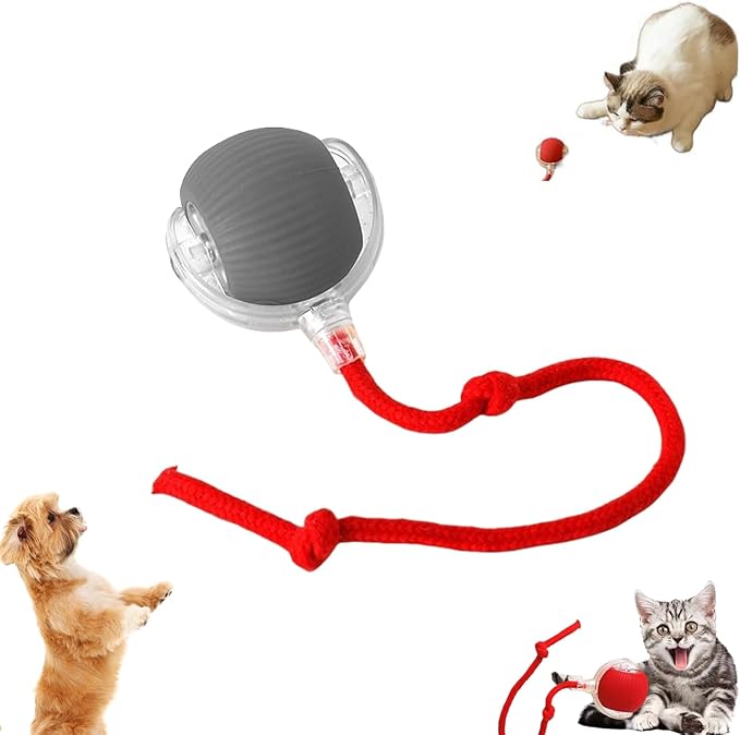 Interactive Rolling Dog Ball, Rolling Ball DogToys, 360° Automatic Self Moving Dog/Cat Toys