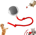 Interactive Rolling Dog Ball, Rolling Ball DogToys, 360° Automatic Self Moving Dog/Cat Toys