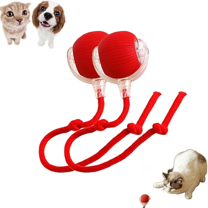Interactive Dog Ball, Automatic Rolling Ball for Dogs & Cats, Active Pet Toy, Red, 1 Count
