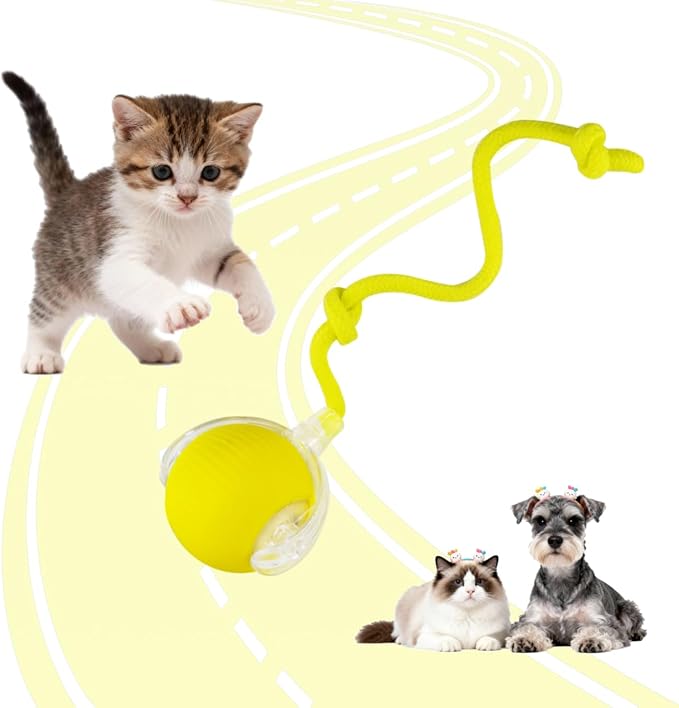 Interactive Cat Toys Ball for Indoor Cats, Interactive Rolling Small Dog Cat Toys Automatic Self Moving, 360°,Electric Balls，Fast Rolling，Smart Automatic Rolling Pet Ball (Yellow)