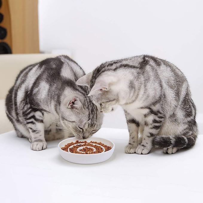SLSON Cat Slow Feeder Bowl,Ceramic Slow Feed Cat Bowls Heavy and Shallow Wisker Stress-Free Pets Dish for Kittens Small Pets Wet Food,White