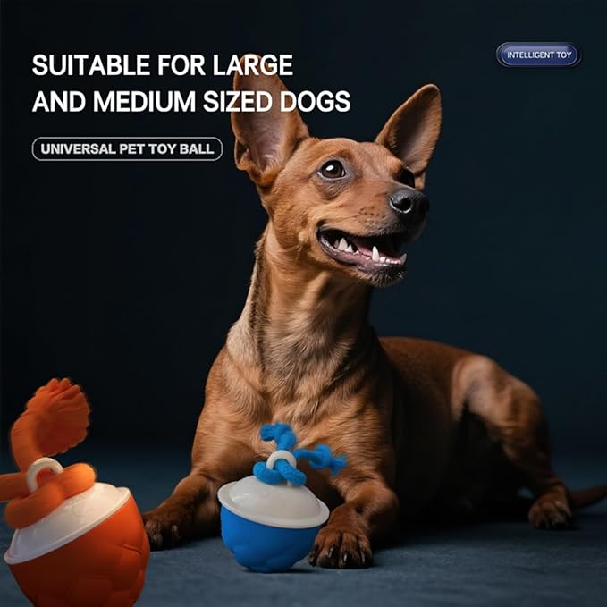 KumCinn Power Tail 2.0 Automatic Moving Dog Ball - Interactive Dog Toy | Self-Rolling, Motion Activated Electric Pet Ball to Keep Dogs Busy & Relieve Boredom (Suitable for All Dog Breeds)