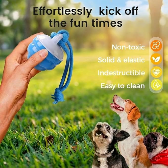 Interactive Dog Toys, 2026 Upgrade Touch Activated Bouncing Jumping Dog Ball Automatic Electric Rolling Balls with Rope, Rechargeable Rolling Chasing Toy for Indoor Outdoor Play (Blue)