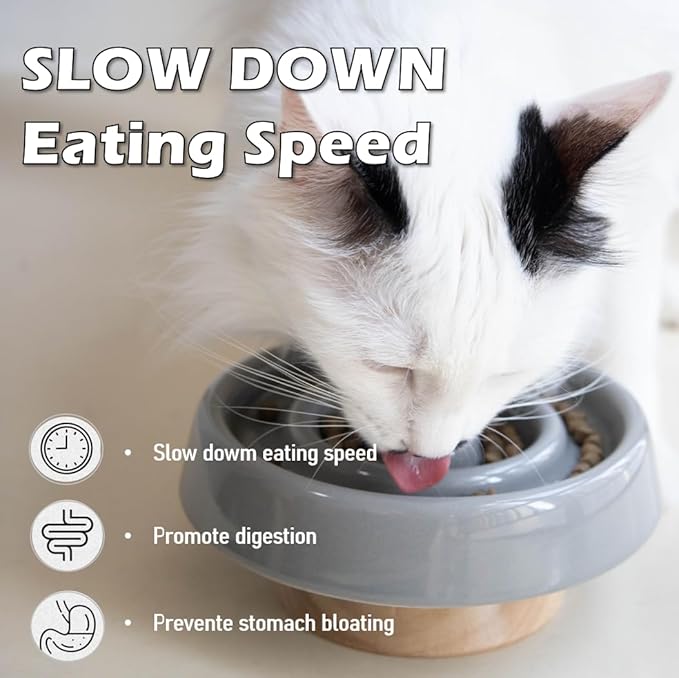 Ceramic Cat Slow Feeder, Raised Slow Feeder Cat Bowl, Anti Vomiting and Whisker Friendly Kitty Dish, Elevated Puppy Kitten Bowl for Dry and Wet Food (Gray)