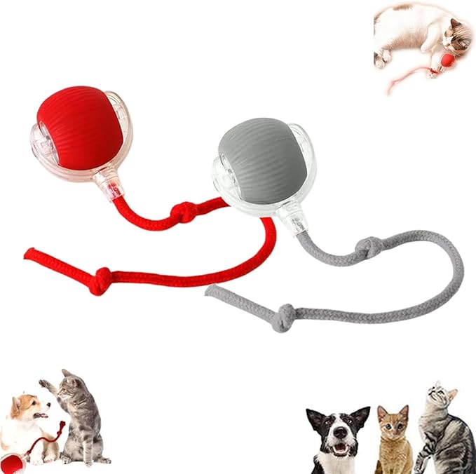 Vocal Dog Ball, Smart Motion Pet Ball, Interactive Cat Toys for Indoor Cats, Automatic Dog Toys, Rolling Balls Dog Toy, 360 Smart Automatic Electric DogBall Toy for Dogs and Cats