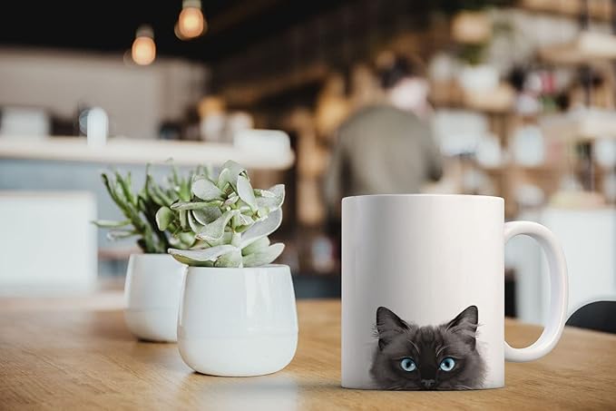 MUGBREW Seal Point Ragdoll Cat Ceramic Coffee Mug Tea Cup, 11 OZ