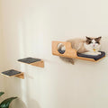 LIORCE Cat Wall Shelves with 2 Steps, Creative Design Cat Shelf with Peephole, 19 x 10 inch Cats Wall Furniture with Comfortable Pad, Cats Perch for Sleeping, Playing, and Scratching.
