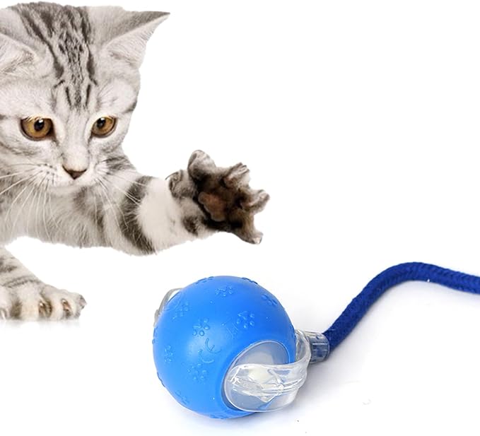 Rolling Interactive Dog Toys, Electric Self Moving Pet Toy, Cat Toys for Indoor Cats, Smart Automatic 360 Rolling Ball for Cat & Dog, Kitten Toy for Indoor Kittens Ball (Blue)