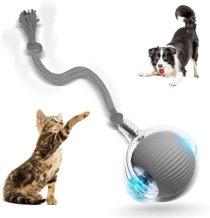 Interactive Cat Toys for Indoor Cats, 2025 New Motion Activated Cat Balls with 360° Smart Automatic Rolling Moving for Bored Kitten Pet Cats Dogs (Gray)