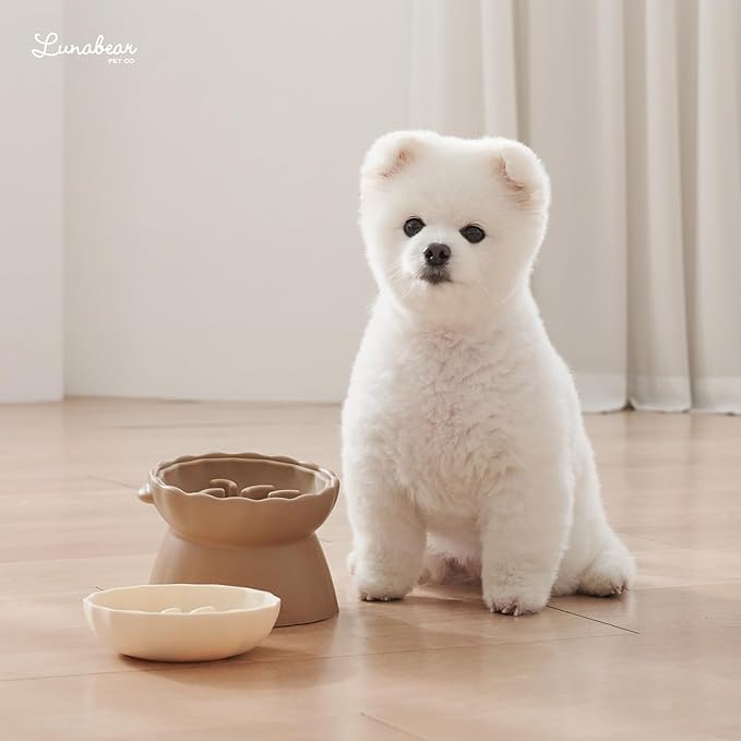 Slow Feeder Dog Bowls Made of Premium Food-Grade Silicone, Anti-Choking & Slow Eating for Improved Digestion, Non-Slip, Soft & Durable (Ivory, Doggy)