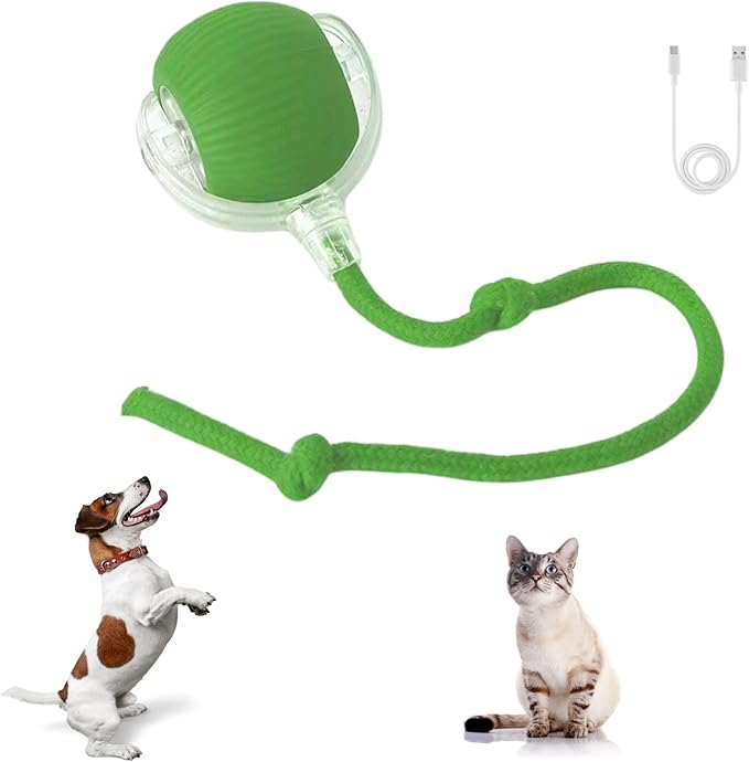 Interactive Cat Toys for Indoor Cats, 360° Automatic Moving Cat Ball, Rechargeable Rolling Ball, Toys for Indoor Interactive Kitten and Dog, Green