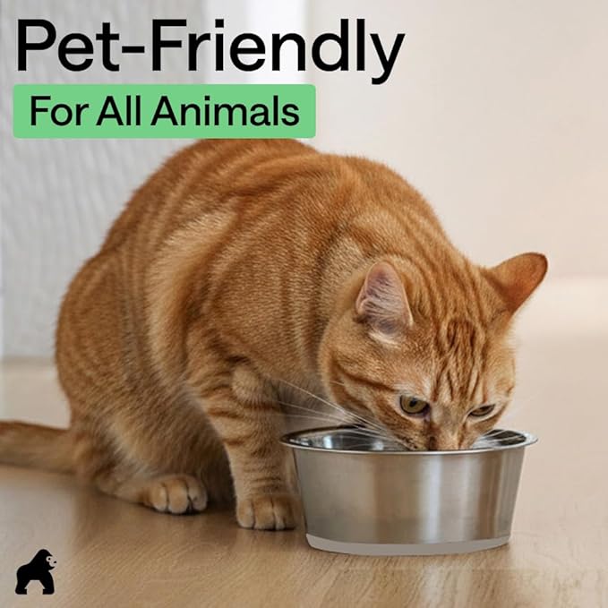 GORILLA GRIP Dog Bowls, Food Grade 304 Stainless Steel, Holds 2 Cups Each (16 fl oz) Food and Water Bowl for Feeding Dogs and Cats, Dishwasher Safe, Rust Resistant, BPA Free Rubber Base Set of 2 Beige