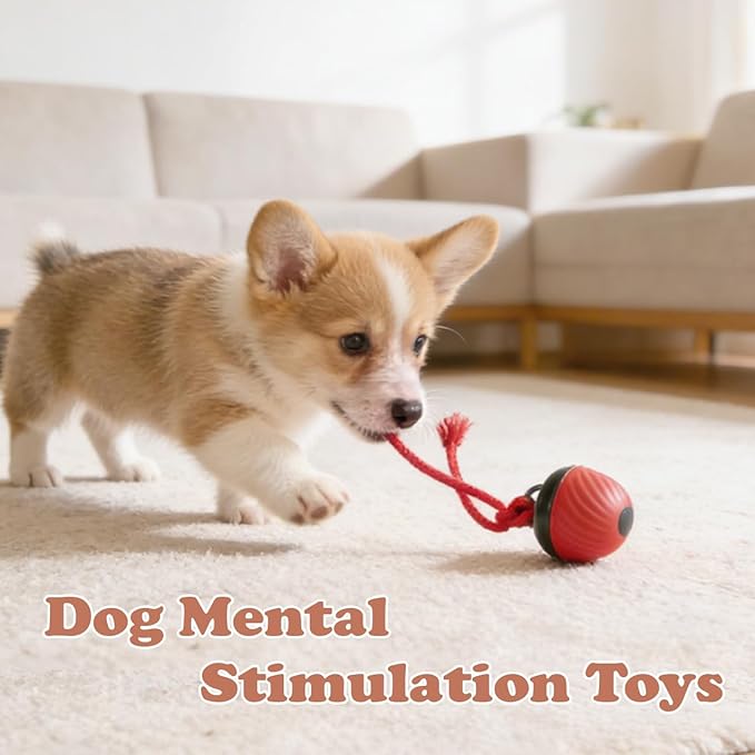 KumCinn Power Tail 2.0 Automatic Moving Dog Ball - Interactive Dog Toy | Self-Rolling, Motion Activated Electric Pet Ball to Keep Dogs Busy & Relieve Boredom (Suitable for All Dog Breeds)