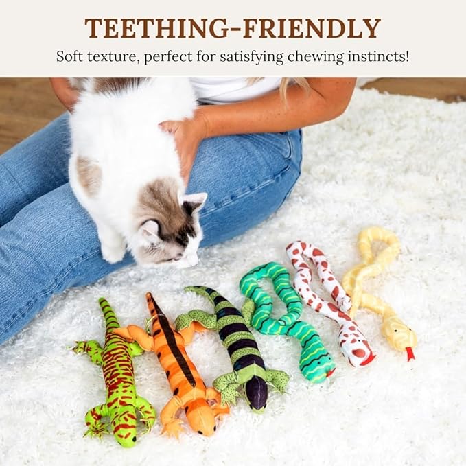 Interactive cat Toys