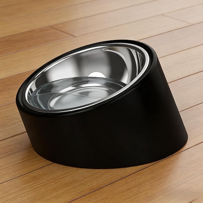 15° Tilted Slow Feeder- Non-Spill & Non-Slip Stainless Steel Dish for Small & Cats - Detachable 160ml Elevated Black (Size S)