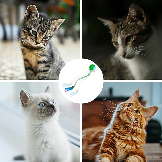 Interactive cat Toy cat Toys for Indoor Cats Agile Moving Cat Ball with Elastic Mesh Tail Automatic Kitten Toys Motion Activated Ball (Green)
