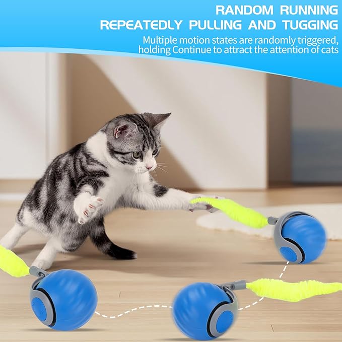 Speedy Tail Automatic Cat Ball Toy Self Rolling Moving Self-Rotating Cat Exercise Ball USB Rechargeable Interactive Hunting Cat Toy (Upgrade Blue)